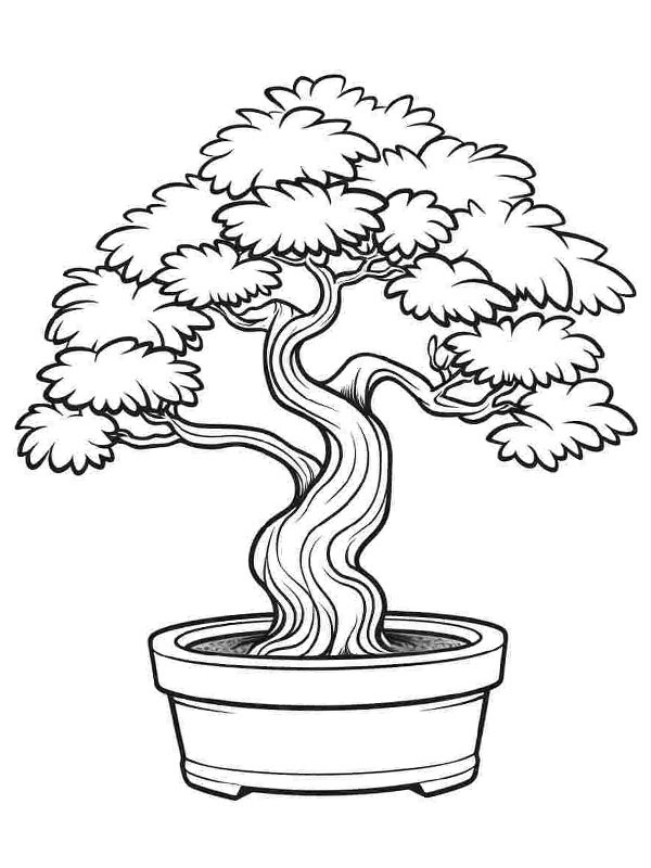 Ausmalbild bonsai