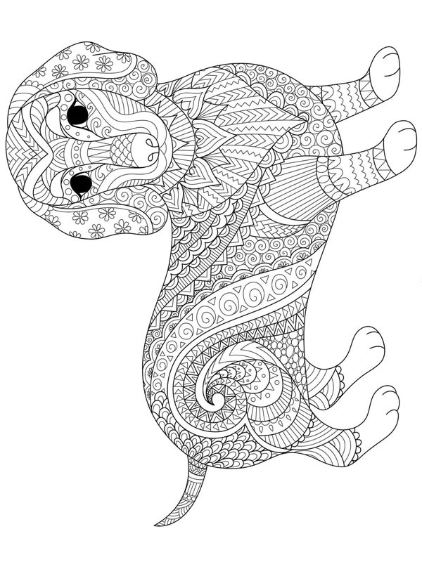 Ausmalbild dachshund fuer erwachsene