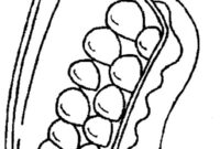 Ausmalbild eierkarton