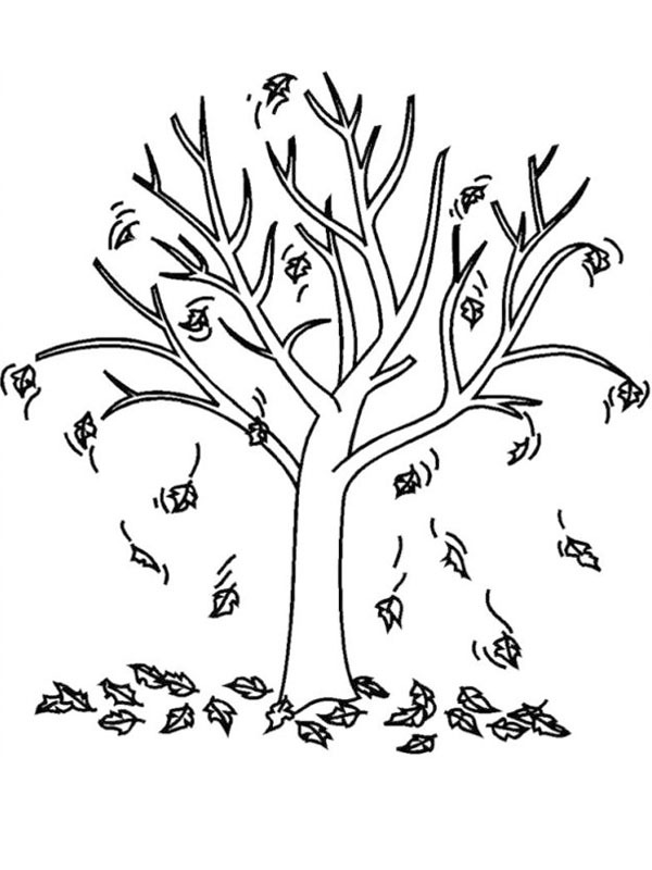 Ausmalbild herbstbaum