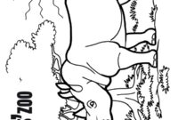 Ausmalbild nashorn im burgers zoo