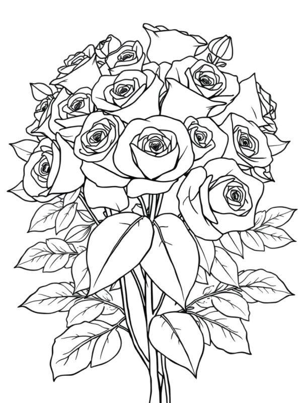 Ausmalbild rosenbukett fuer erwachsene