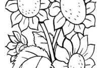 Ausmalbild sonnenblumen