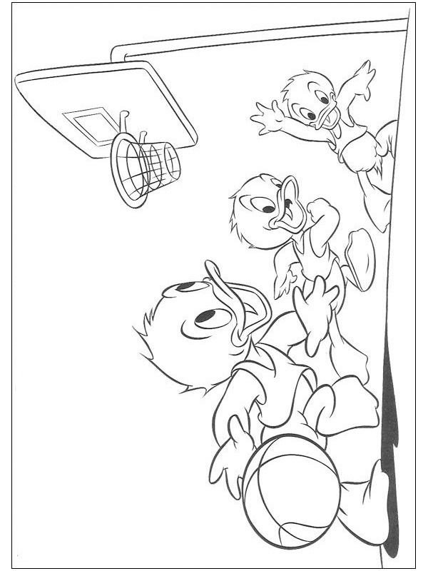 Ausmalbild tick trick und track duck spielen basketball