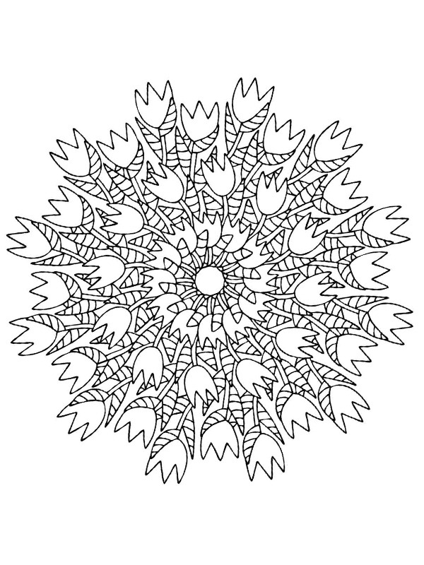 Ausmalbild tulpen mandala