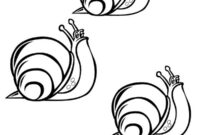 Ausmalbild 3 schnecken