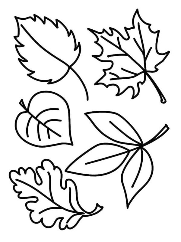 Ausmalbild 5 herbstblaetter