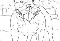 Ausmalbild american bully