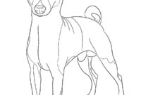 Ausmalbild basenji