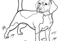 Ausmalbild beagle