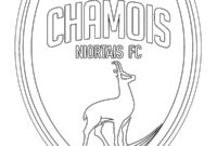 Ausmalbild chamois niort