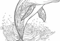 Ausmalbild delfin fuer erwachsene