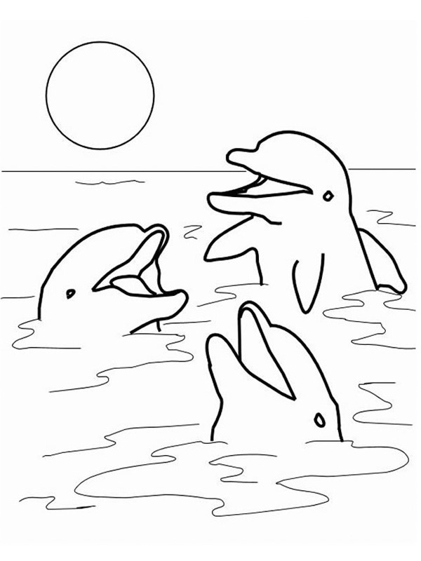 Ausmalbild delfine im meer