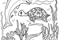 Ausmalbild delphin und schildkroete