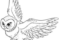 Ausmalbild die eule hedwig