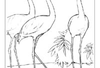 Ausmalbild drei flamingos