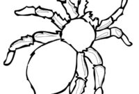Ausmalbild gefaehrliche spinne