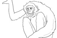 Ausmalbild gibbon