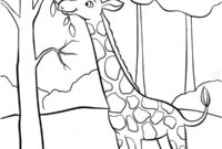 Ausmalbild giraffe isst