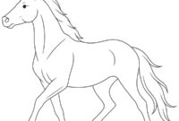 Ausmalbild haflinger pferd