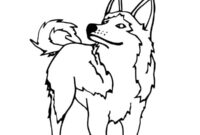Ausmalbild husky hund