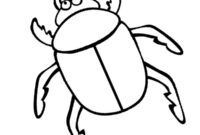 Ausmalbild kaefer