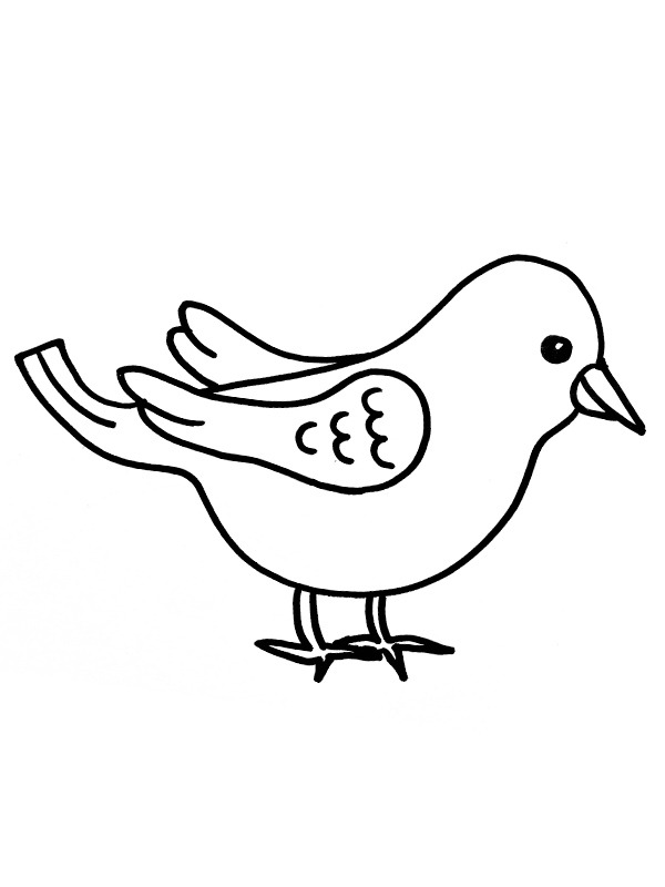 Ausmalbild kleiner vogel