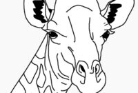 Ausmalbild kopf giraffe