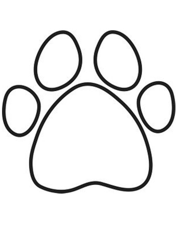 Ausmalbild labrador hund