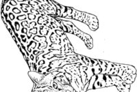 Ausmalbild leopard
