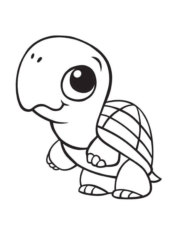 Ausmalbild niedliche schildkroete