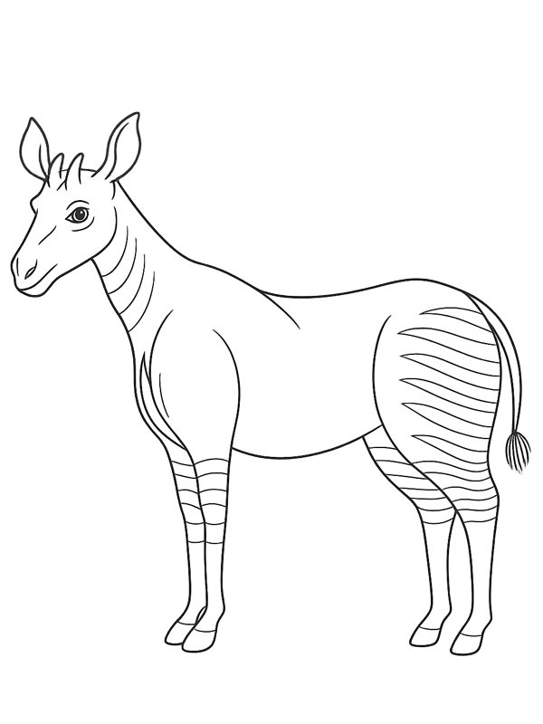 Ausmalbild okapi