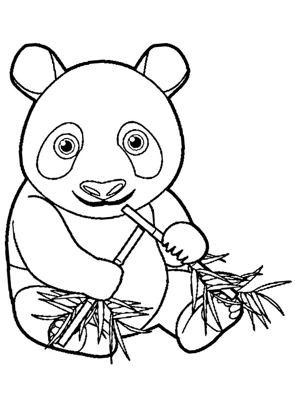 Ausmalbild panda isst bamboe