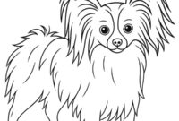 Ausmalbild papillon hund