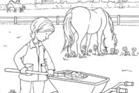 Ausmalbild pferd am reiterhof