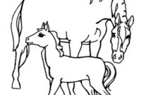 Ausmalbild pferd und fohlen