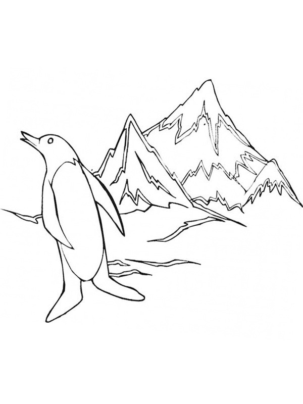 Ausmalbild pinguin am suedpol
