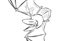 Ausmalbild realistische fledermaus