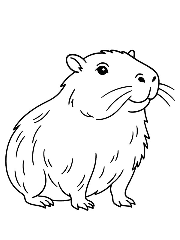 Ausmalbild realistischer capybara