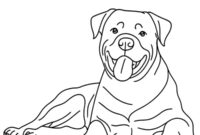 Ausmalbild rottweiler