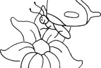 Ausmalbild schmetterling auf blume
