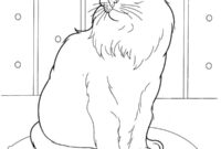 Ausmalbild sibirische katze