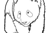 Ausmalbild trauriger panda