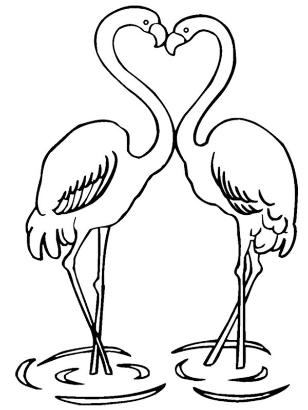 Ausmalbild verliebte flamingos