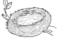 Ausmalbild vogelnest