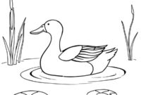 Ausmalbild wildente