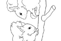 Ausmalbild zwei eichhoernchen